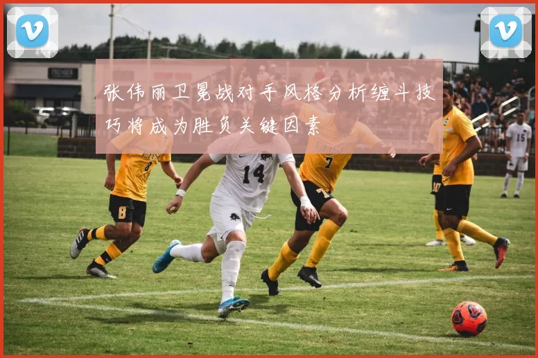 张伟丽卫冕战对手风格分析缠斗技巧将成为胜负关键因素