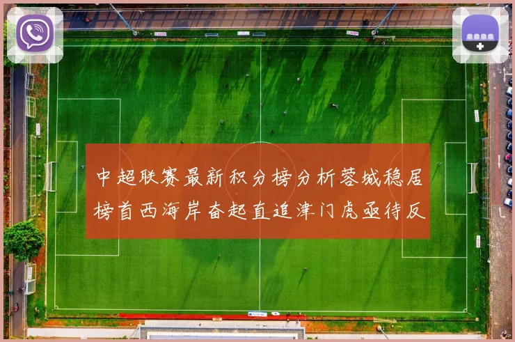 中超联赛最新积分榜分析蓉城稳居榜首西海岸奋起直追津门虎亟待反弹