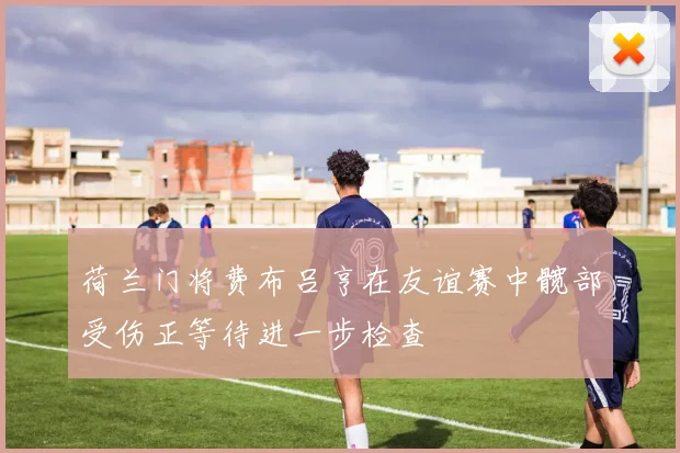 荷兰门将费布吕亨在友谊赛中髋部受伤正等待进一步检查